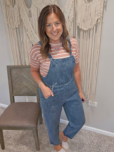 Drew Denim Jumpsuit Overalls
