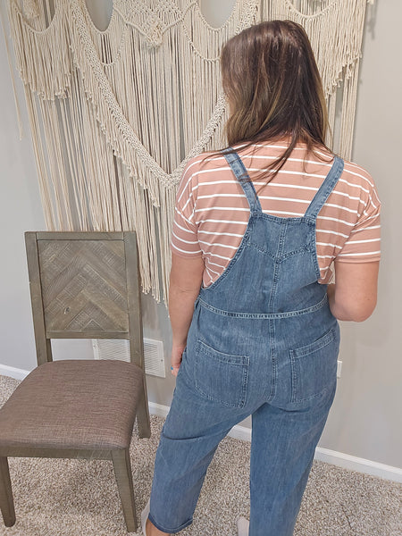 Drew Denim Jumpsuit Overalls